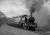 5164bw_edited-1.jpg