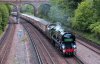 35028 Putney 4.jpg