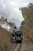 _DSC7778.jpg