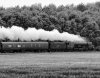 Nr Theale 1 (1) bw.JPG