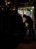 DSC_6347 Winifred in shed, Penrhyn 160916.JPG