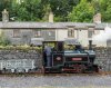 DSC_6221 Marchlyn & puss, Penrhyn 160916.JPG