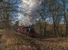DSC_5436.jpg