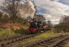 DSC_5661.jpg
