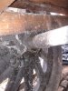 20170421_182205.jpg
