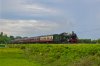 DSC_0124.jpg