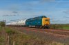 DSC_1742.jpg