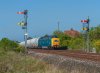 DSC_1954.jpg