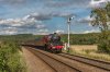 DSC_7318.jpg