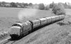55019-01c.jpg