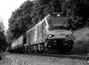 88010-02c.jpg
