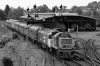 D9551-03a.jpg
