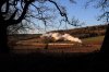 35028Hackhurst041212NigelPitt.jpg