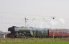 60103.jpg