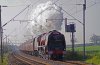 6233 Long buckby.JPG