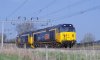 -50s longbuckby.jpg