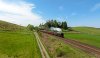 GB-17-30.4.25-Kinbuck.jpg