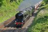 34046 Braunton (with 57 311 and D1994) at Bradford-on-Tone en route to Kingswear..jpg
