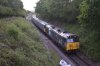 DSC_0607r.JPG