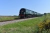DSC_0628r.JPG