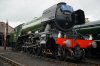 Scotsman rests between duties.jpg