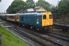 DSC_0806r.JPG
