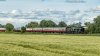 Berrington&Eye-2025-05-28-1.jpg