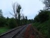 DSCF2875 (2).jpg