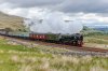 Tornado-(92)-fbook.jpg
