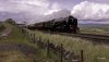 Northern Belle 60163 2 NP.jpg
