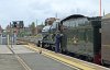 IMG_7453.jpeg