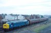 345-01d.jpg