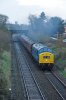 345-02b.jpg