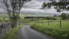 Dalesman 1 NP.jpg