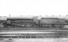 UB3A 499 - 496 class - Nine Elms Loco. 5-1920 to 9-1924.jpg