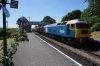 DSC00623.jpg