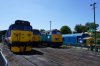 DSC00619.jpg