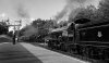 Bluebell-Railway-12.7.25-2bw.jpg