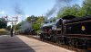 Bluebell-Railway-12.7.25-Sulky-service-and-Special-.jpg