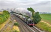 7029 Elford 190725 lr.jpg