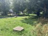 IMG_1982.JPEG