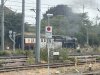 IMG_2954.jpeg