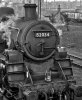 82034_detail.jpg