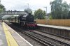 DSC_0077r.JPG