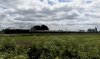 IMG_5964.jpeg