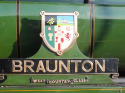 brauntonians